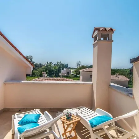 Villa With Swimming Pool And Outdoor Kitchen Svetvincenat