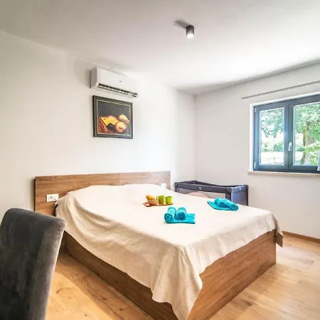 With Swimming Pool And Outdoor Kitchen Villa