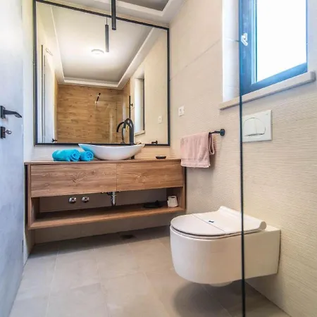Villa With Swimming Pool And Outdoor Kitchen Svetvincenat